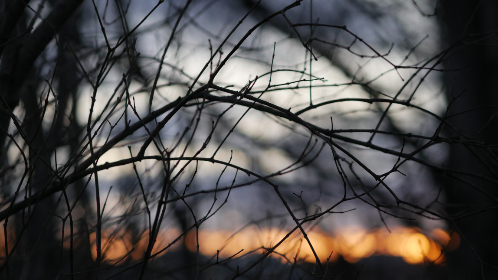 写真网站在线:探索多样化摄影作品,尽享视觉盛宴 写真网站在线:探索多样化摄影作品,尽享视觉盛宴